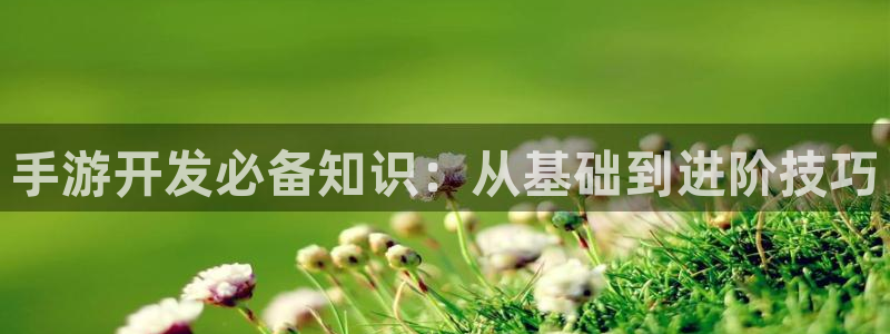V8娱乐网：手游开发必备知识：从基础到进阶技巧