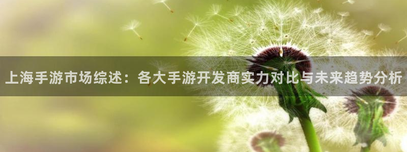 V8娱乐：上海手游市场综述：各大手游开发商实力对比与未来趋势