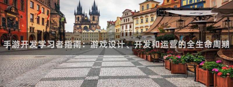 V8娱乐网：手游开发学习者指南：游戏设计、开发和运营的全生命