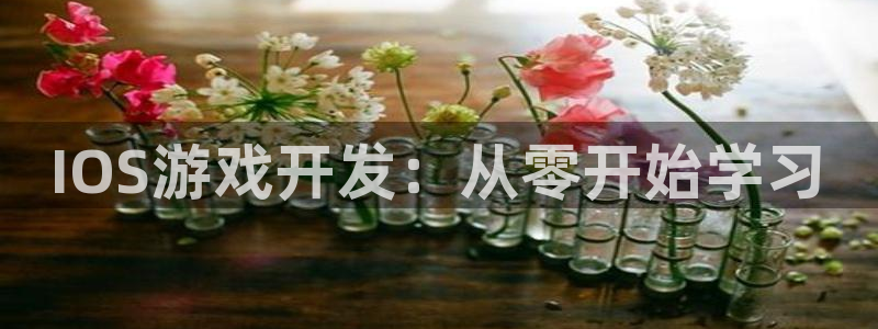 V8娱乐：IOS游戏开发：从零开始学习