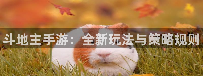 V8娱乐：斗地主手游：全新玩法与策略规则
