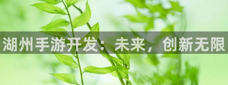 V8娱乐平台：湖州手游开发：未来，创新无限