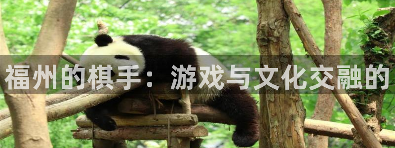 V8娱乐网：福州的棋手：游戏与文化交融的