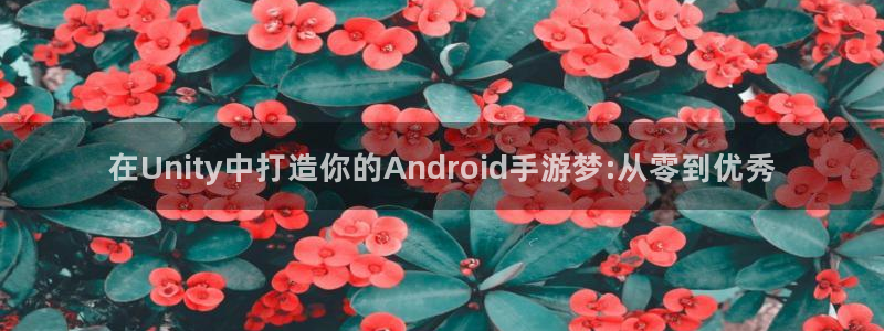 V8娱乐登录：在Unity中打造你的Android手游梦:从