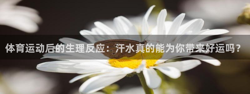 球王会体育：体育运动后的生理反应：汗水真的能为你带来好运吗？