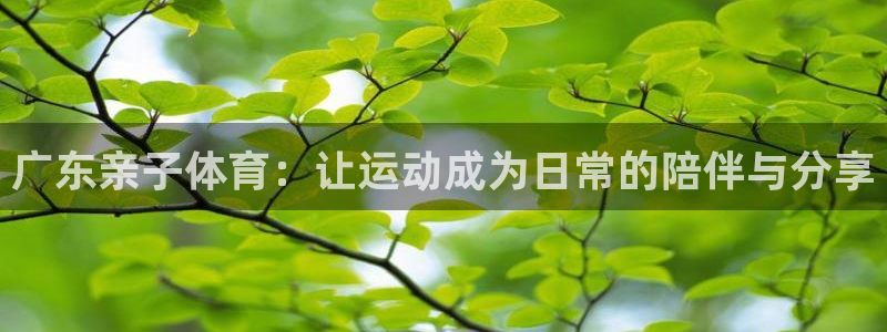球王会体育：广东亲子体育：让运动成为日常的陪伴与分享