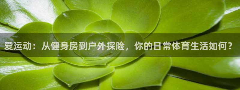 球王会体育：爱运动：从健身房到户外探险，你的日常体育生活如何？