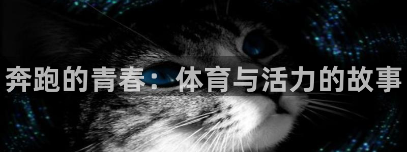 球王会体育