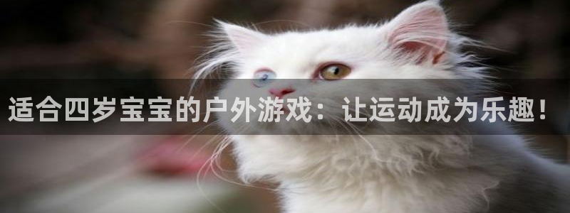 球王会体育：适合四岁宝宝的户外游戏：让运动成为乐趣！