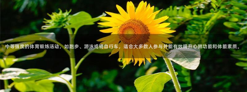 球王会体育：中等强度的体育锻炼活动，如跑步、游泳或骑自行车，适合大多数人参与并能有效提升心肺功能和体能素质。