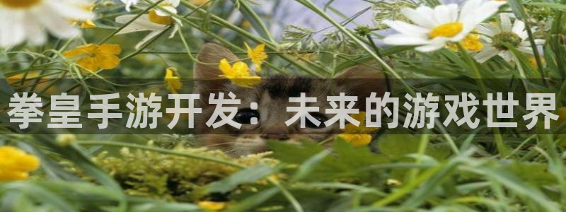 V8娱乐平台：拳皇手游开发：未来的游戏世界